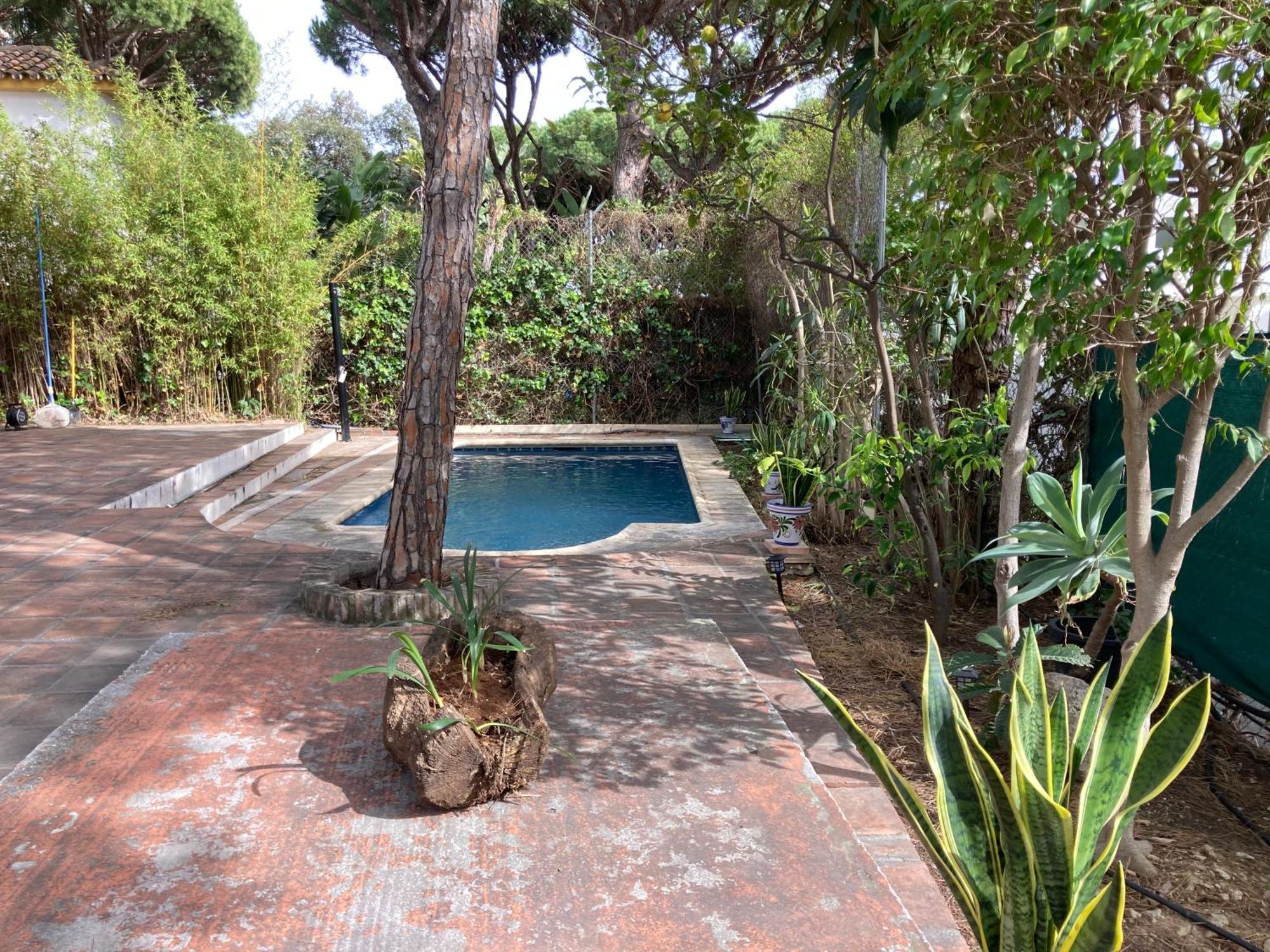 Marbella White Home, Calahonda, By Sol Maestranza Sitio de Calahonda Ngoại thất bức ảnh
